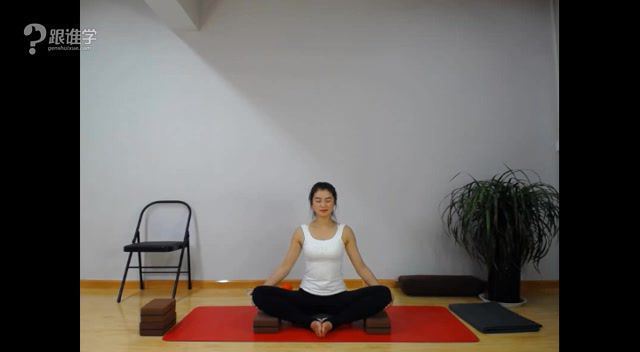 王媚-女性私密瑜伽之盆底肌修复系列 9课(950.43M) 百度网盘分享