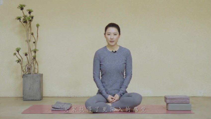 女性情感与魅力提升：现代女性冥想瑜伽课，做温柔有力量的大女主！(7.59G) 百度网盘分享
